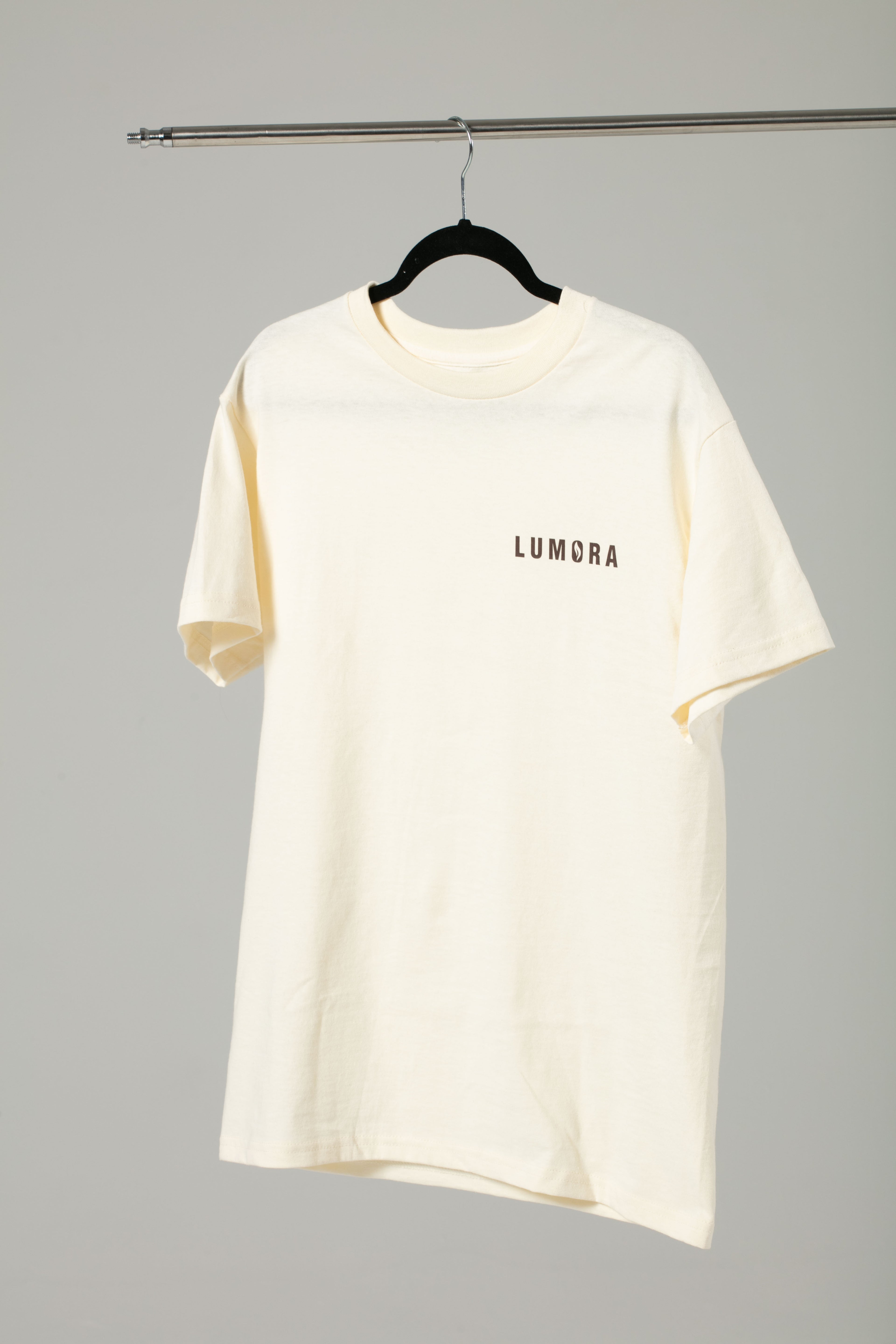 The Light Shines - Premium Tee (Ivory)